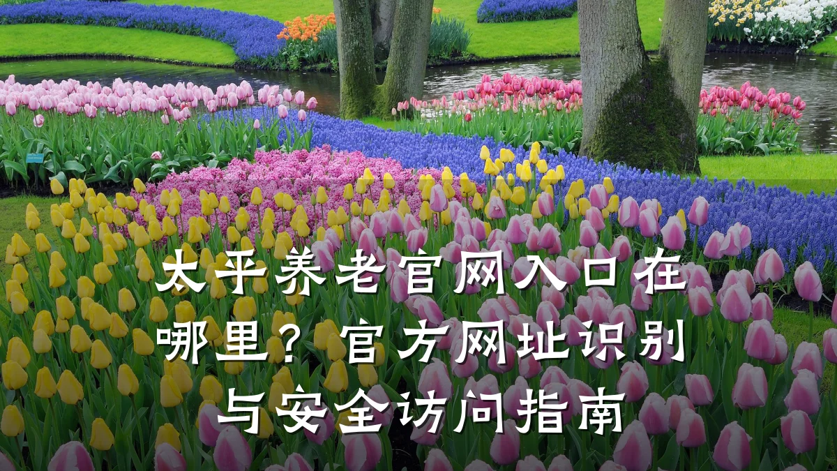 太平养老官网入口在哪里?官方网址识别与安全访问指南