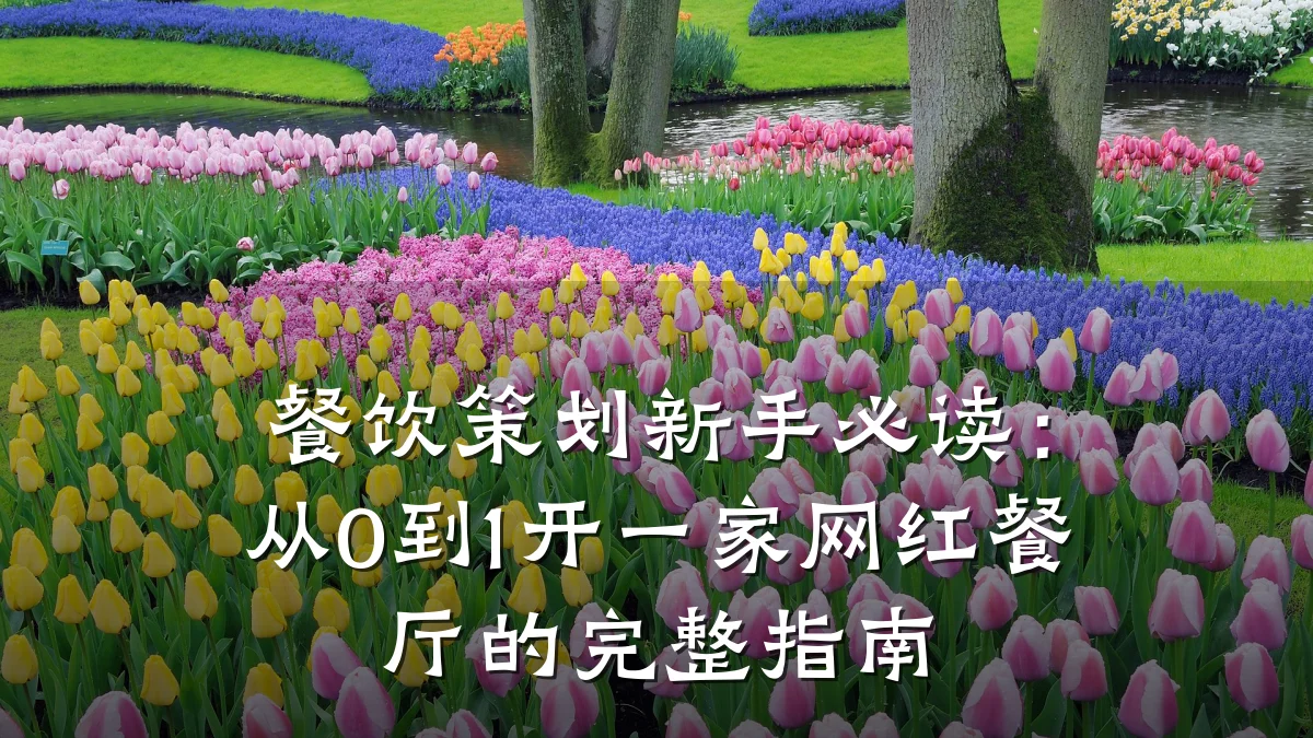 餐饮策划新手必读:从0到1开一家网红餐厅的完整指南