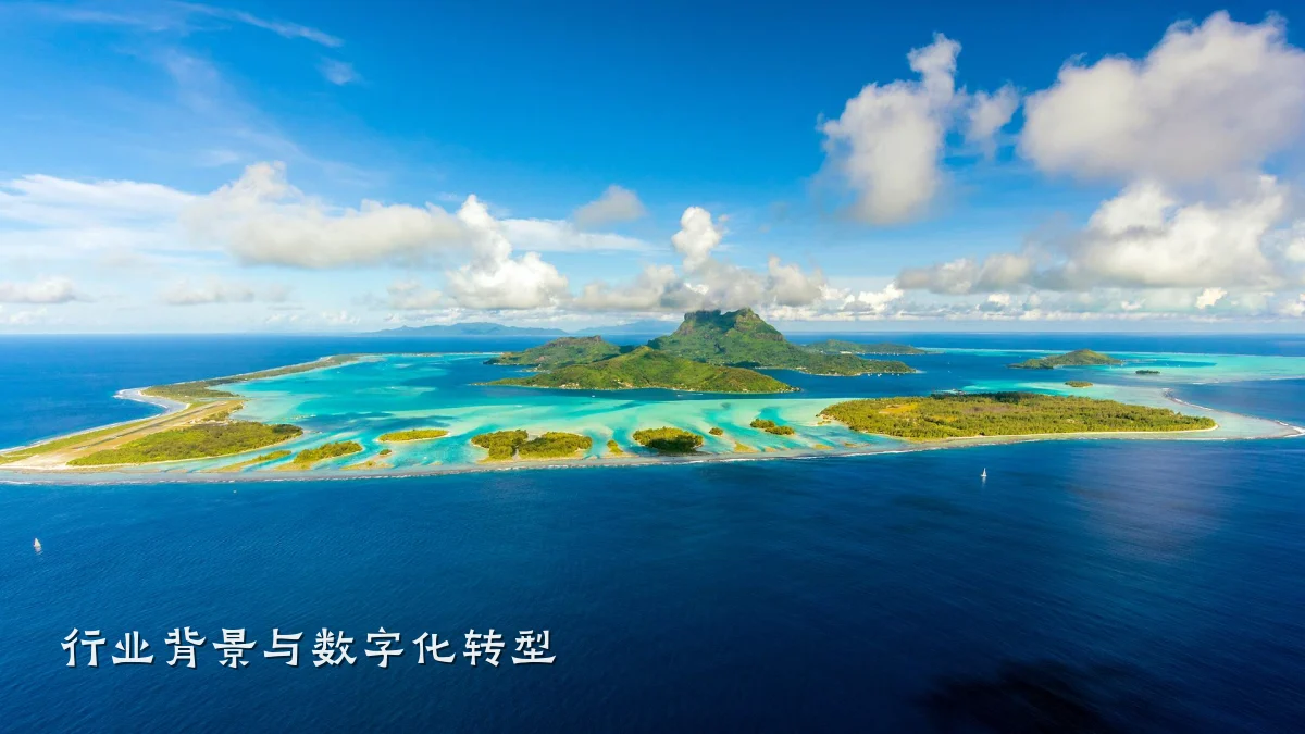 行业背景与数字化转型