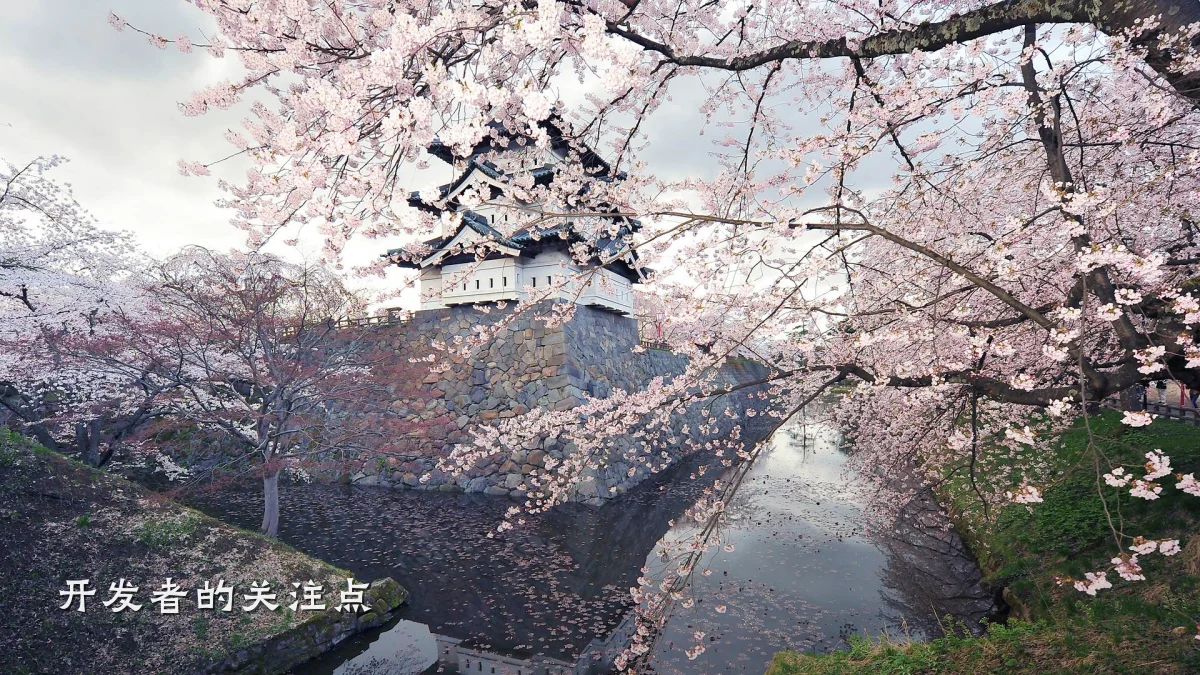 开发者的关注点