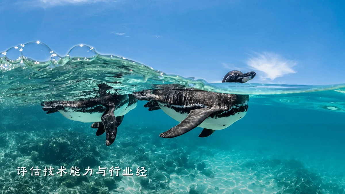 评估技术能力与行业经