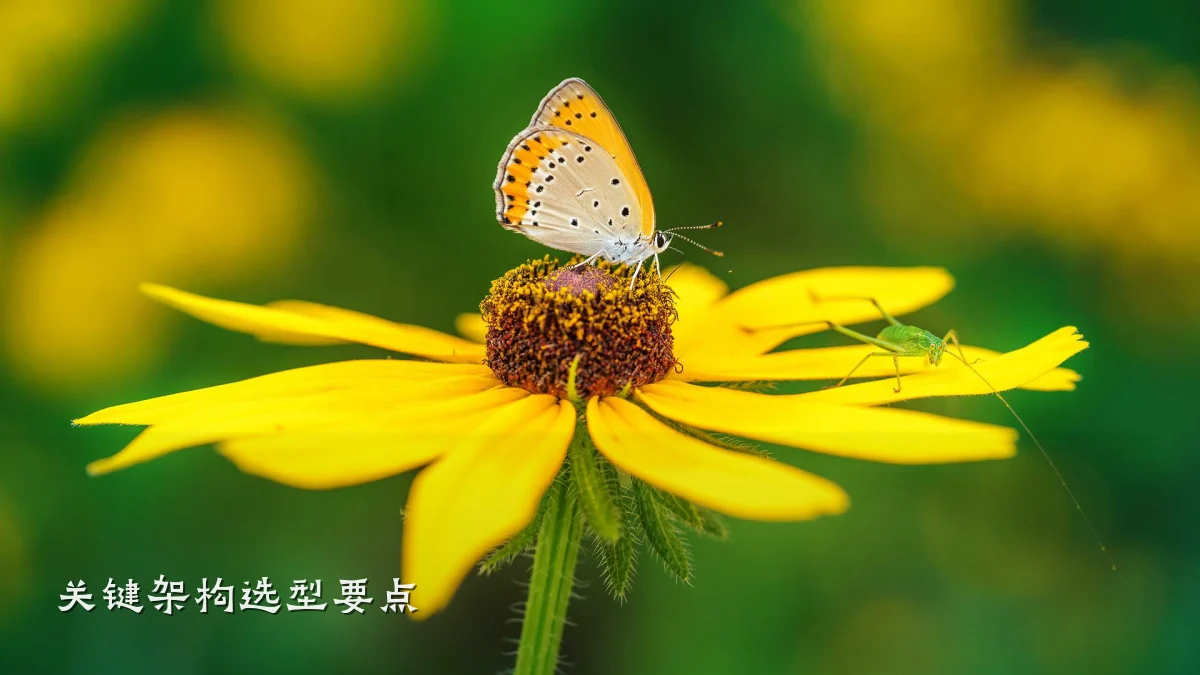 关键架构选型要点