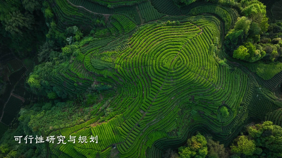 可行性研究与规划