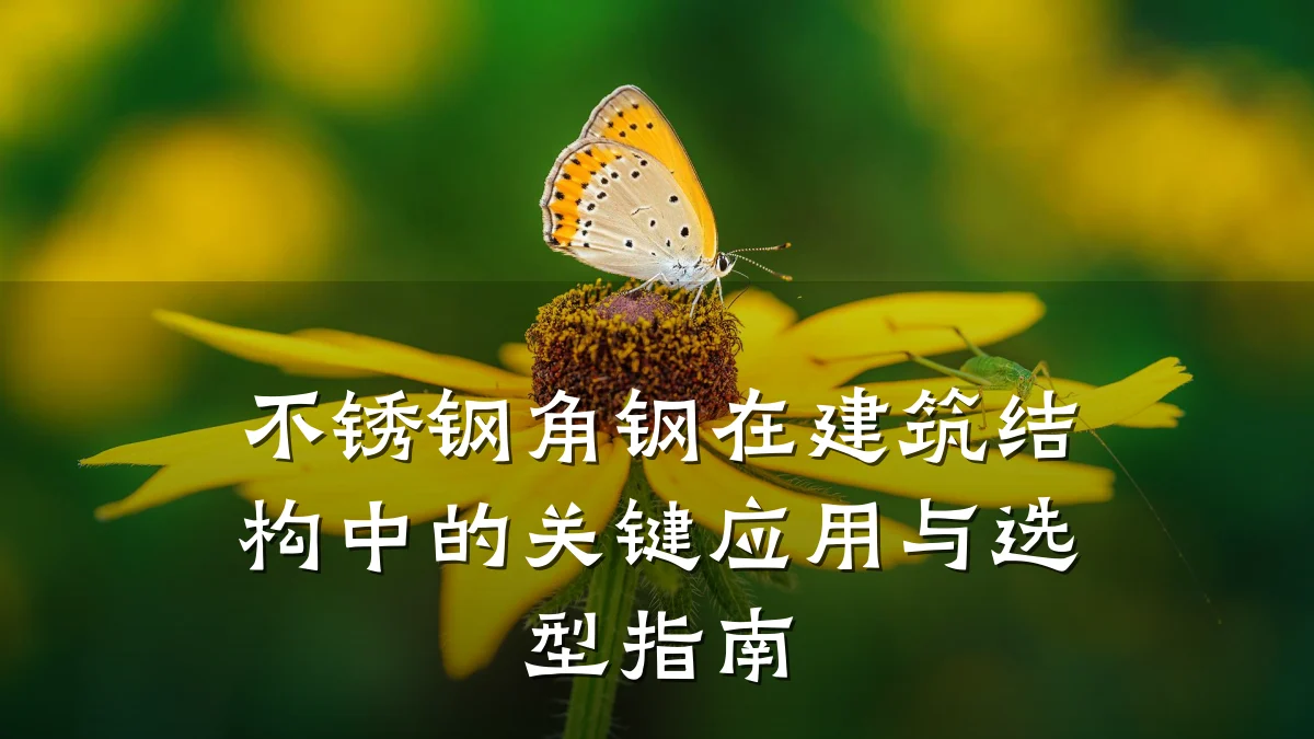 不锈钢角钢在建筑结构中的关键应用与选型指南