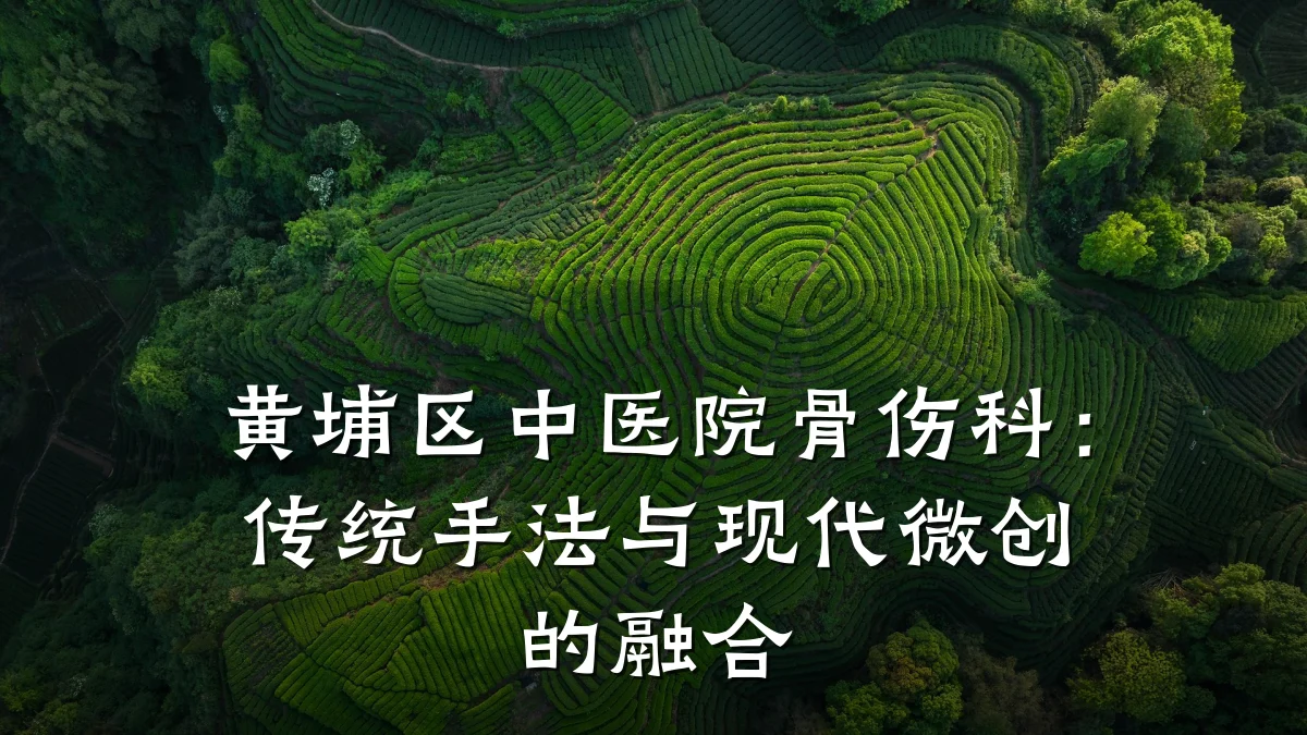 黄埔区中医院骨伤科:传统手法与现代微创的融合