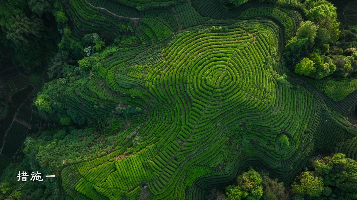措施一
