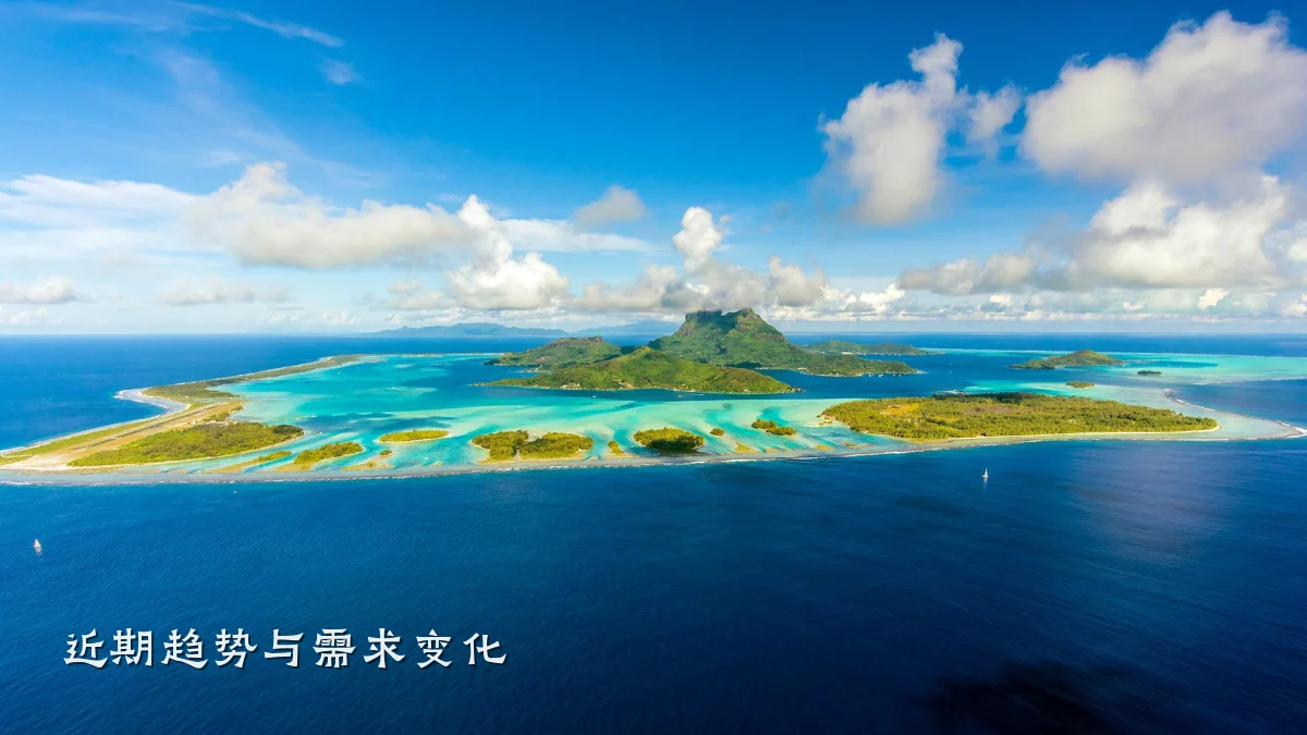 近期趋势与需求变化
