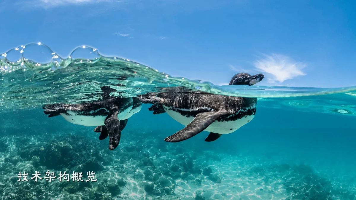 技术架构概览