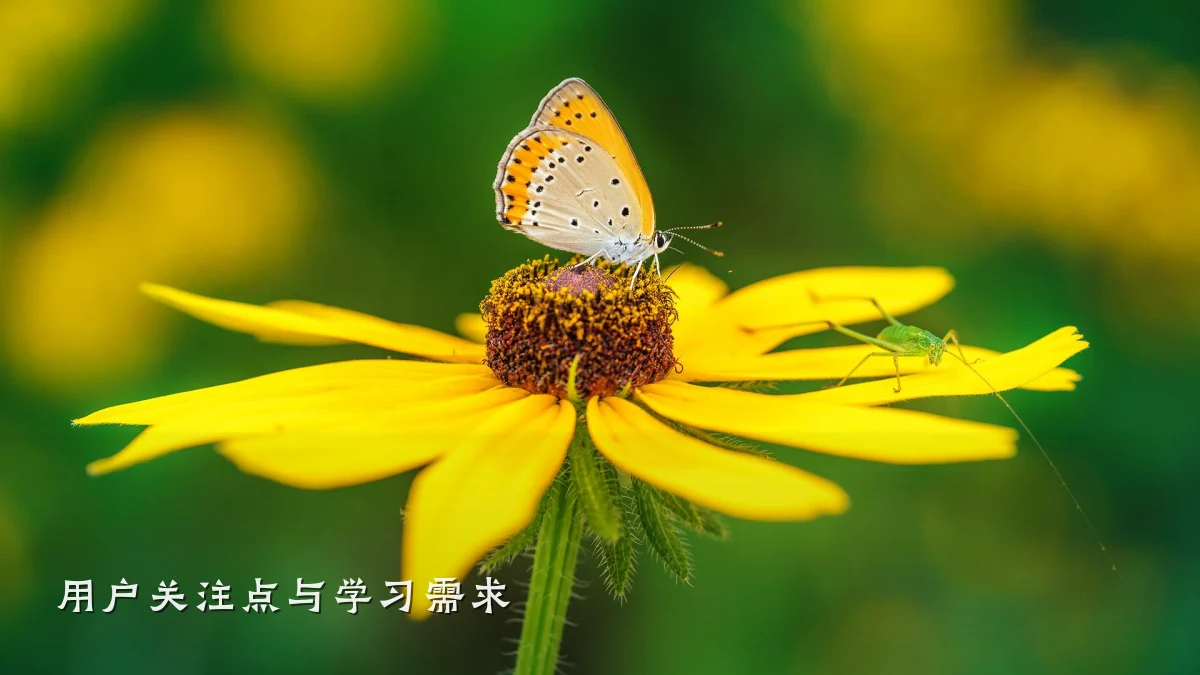用户关注点与学习需求