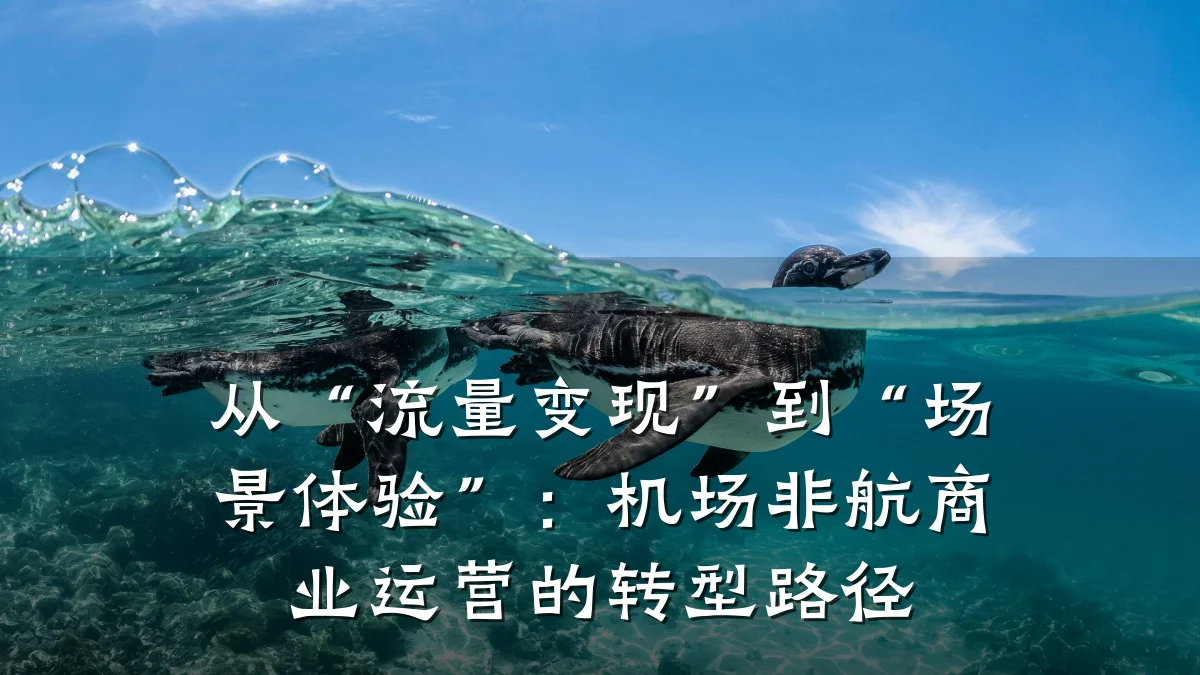 从“流量变现”到“场景体验”:机场非航商业运营的转型路径