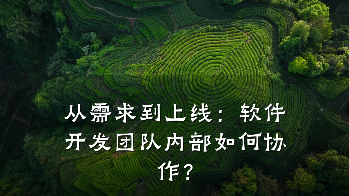 从需求到上线:软件开发团队内部如何协作?
