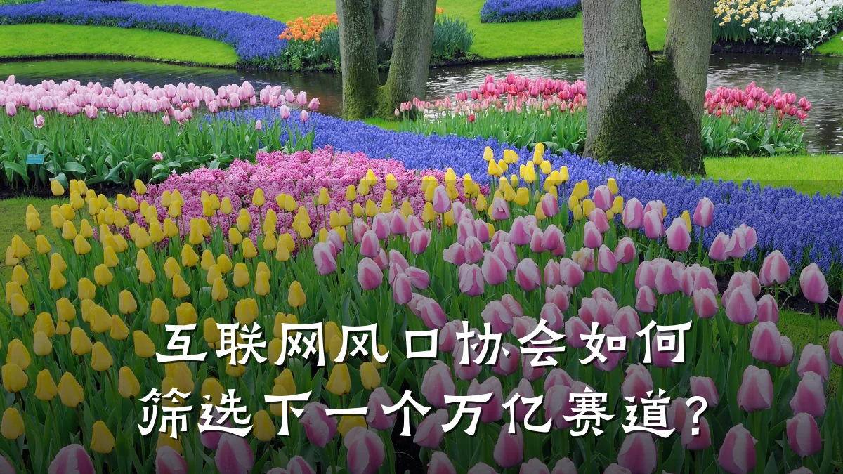 互联网风口协会如何筛选下一个万亿赛道?