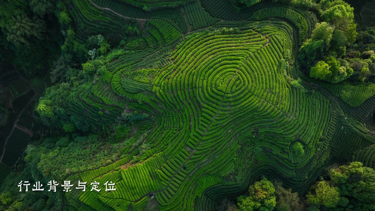 行业背景与定位