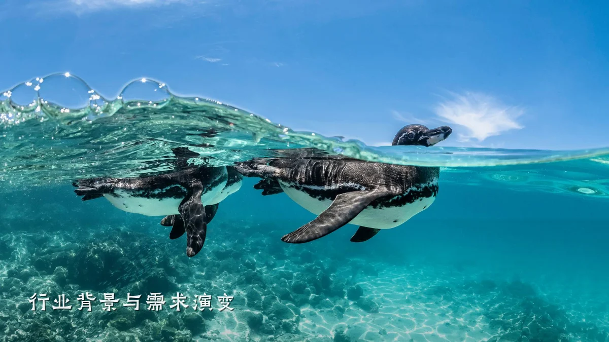 行业背景与需求演变