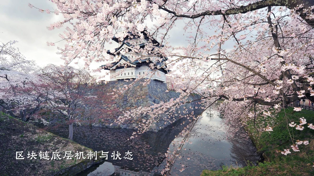 区块链底层机制与状态