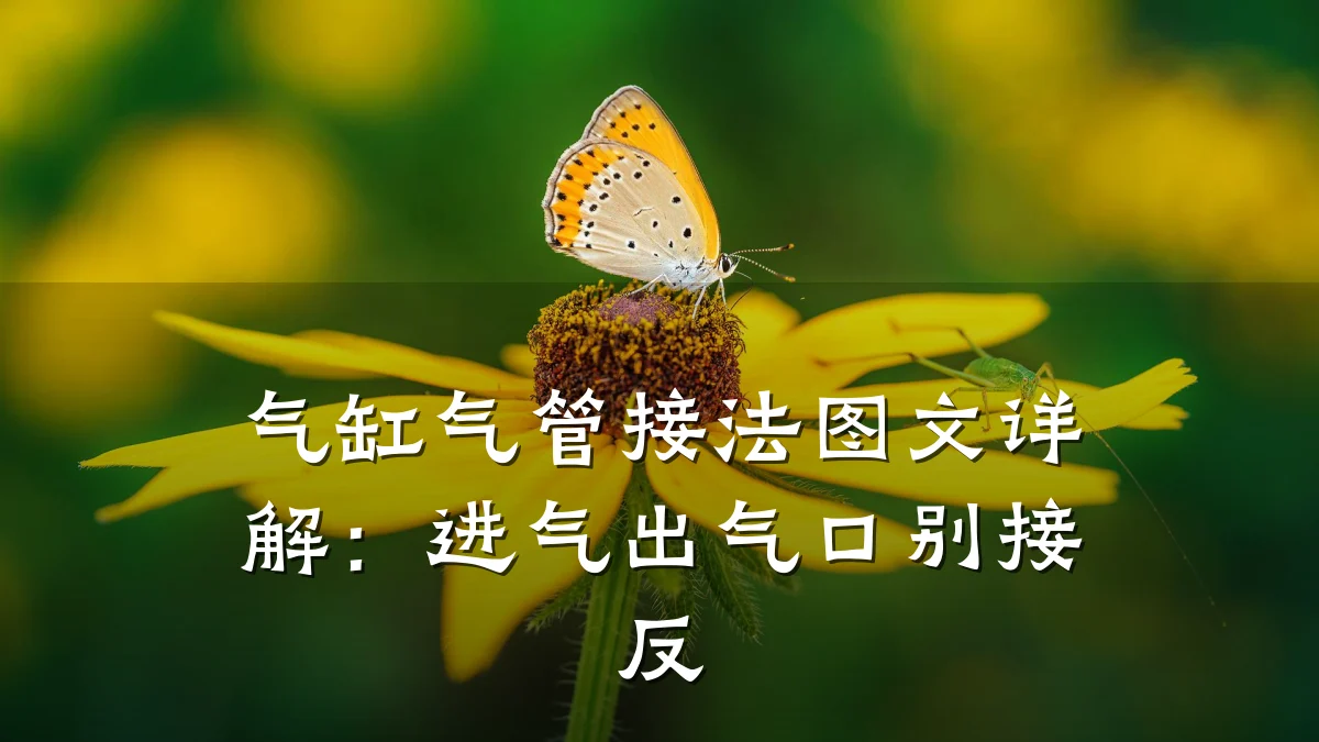 气缸气管接法图文详解:进气出气口别接反