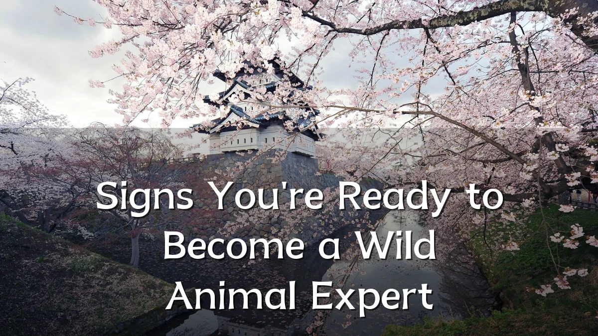 Signs You're Ready to Become a Wild Animal Expert