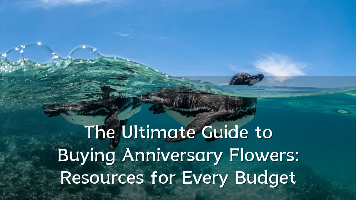 The Ultimate Guide to Buying Anniversary Flowers: Resources for Every Budget