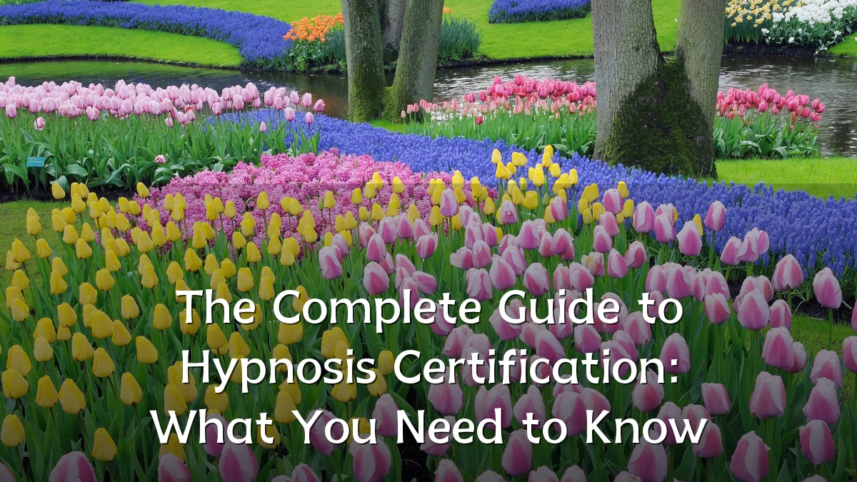 The Complete Guide to Hypnosis Certification: What You Need to Know