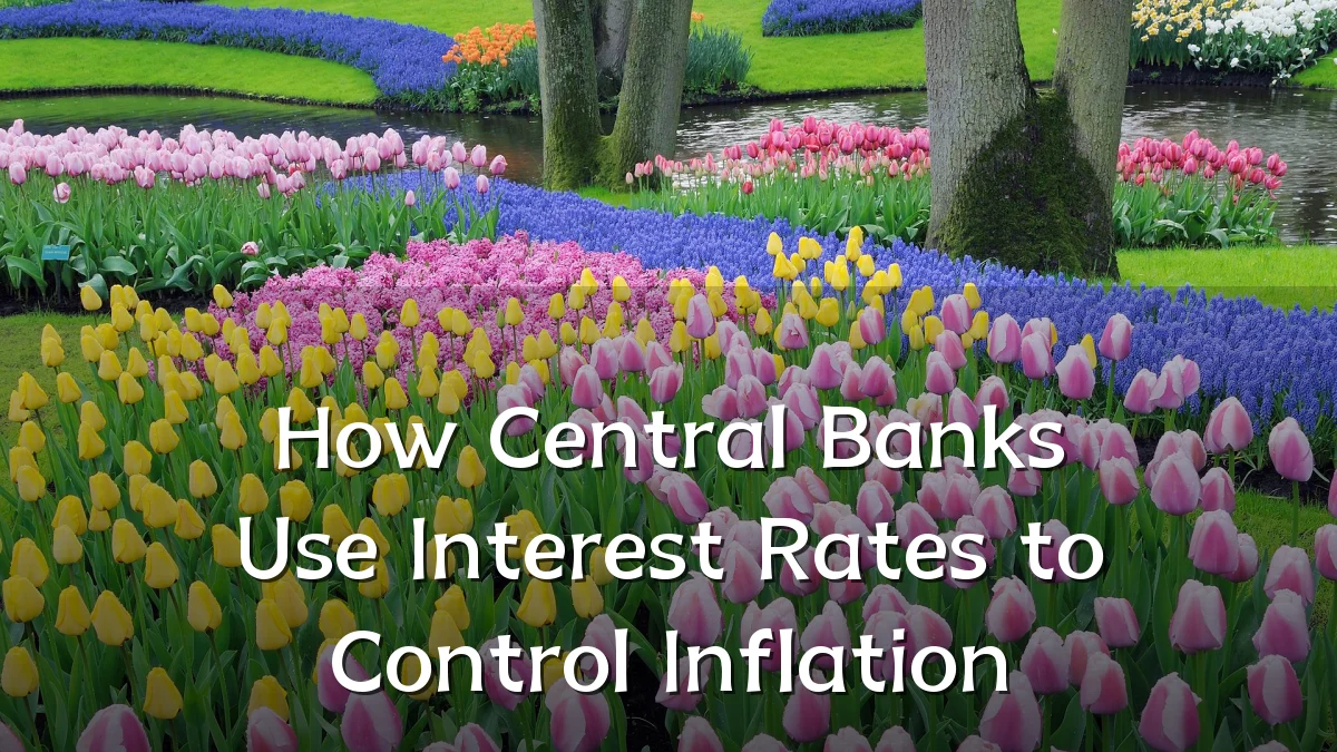 How Central Banks Use Interest Rates to Control Inflation