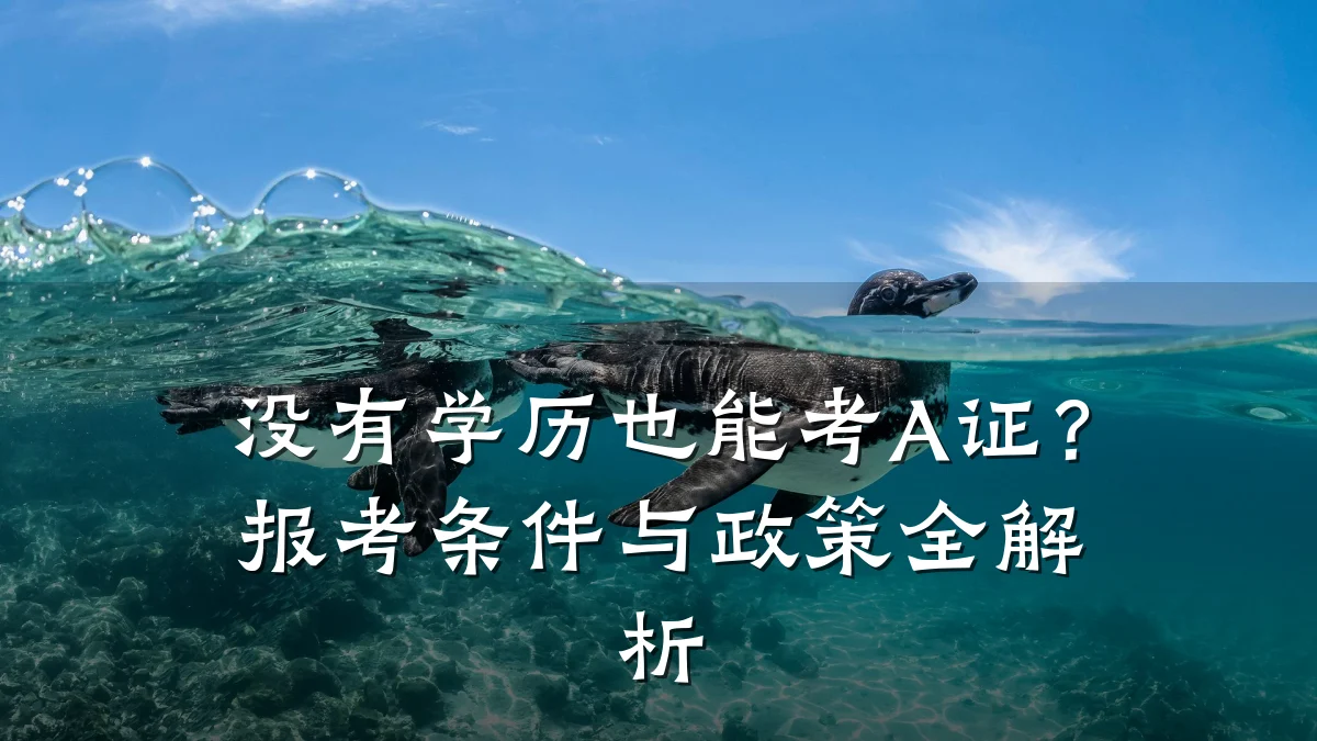 没有学历也能考A证?报考条件与政策全解析