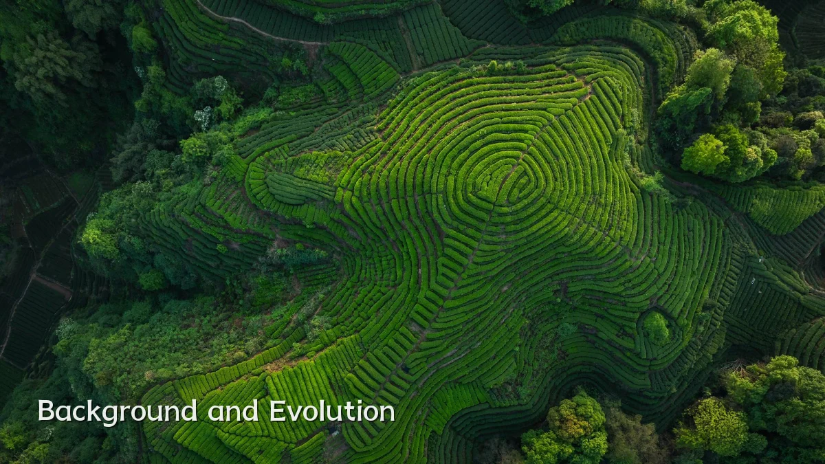 Background and Evolution