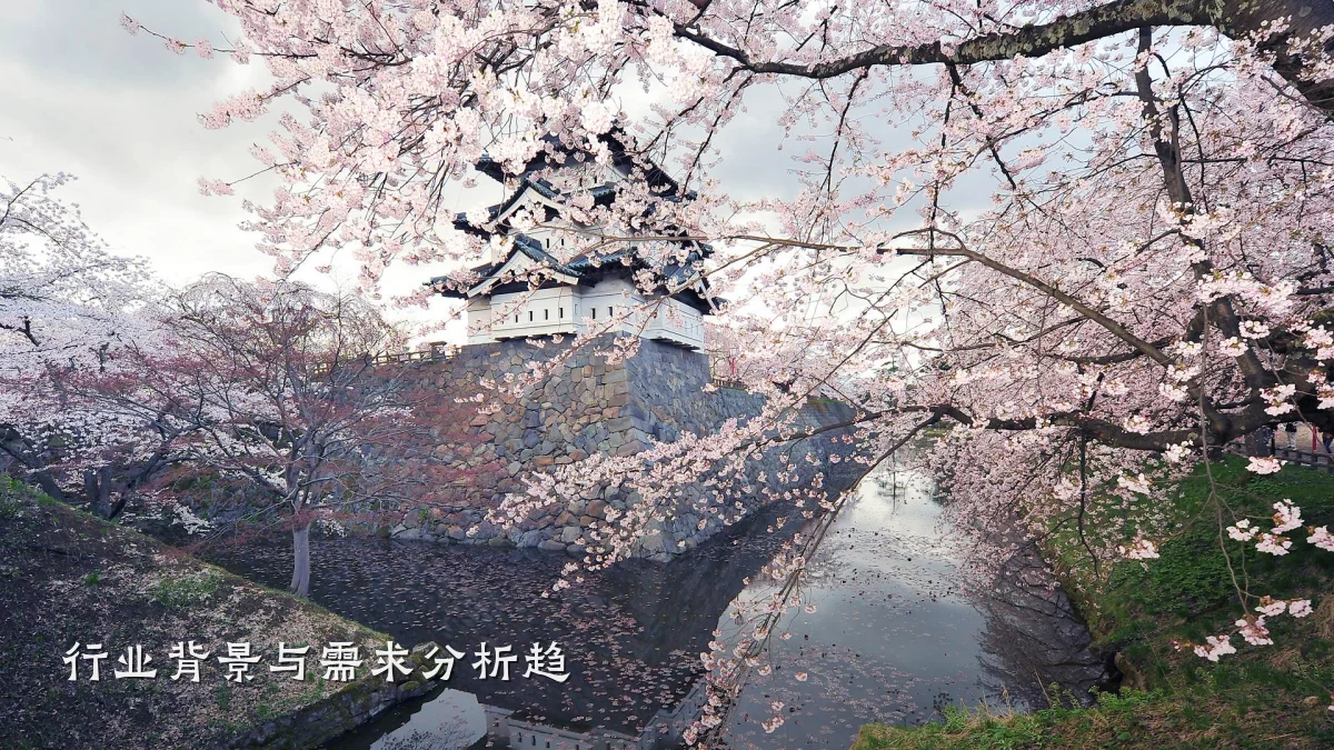 行业背景与需求分析趋
