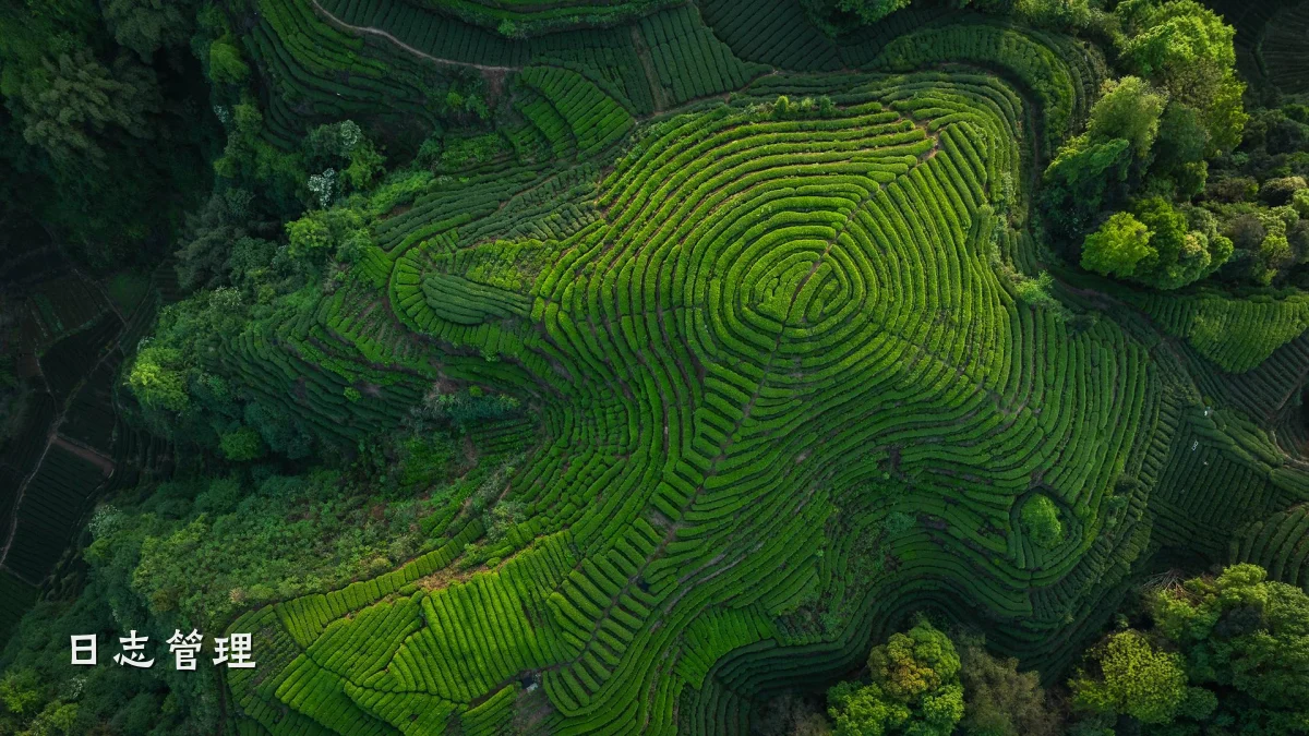 日志管理