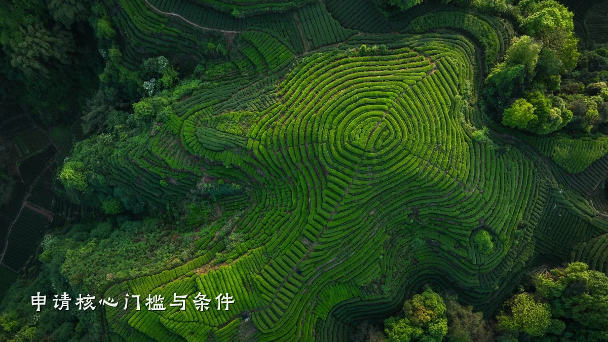 申请核心门槛与条件