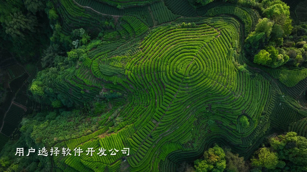 用户选择软件开发公司