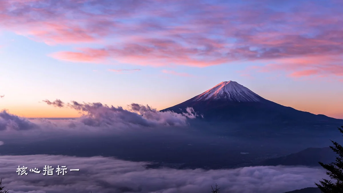 核心指标一