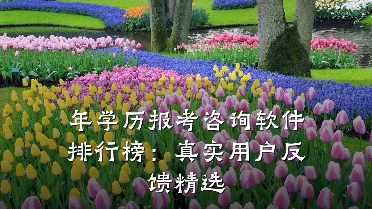 年学历报考咨询软件排行榜:真实用户反馈精选