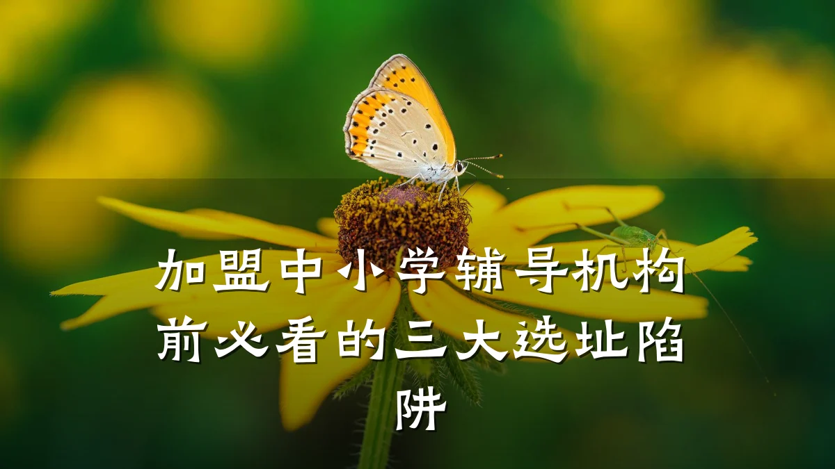 加盟中小学辅导机构前必看的三大选址陷阱