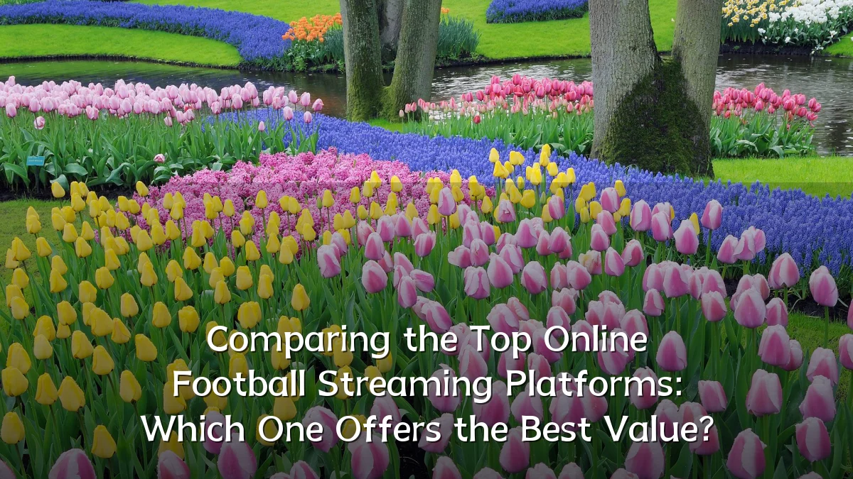 Comparing the Top Online Football Streaming Platforms: Which One Offers the Best Value?