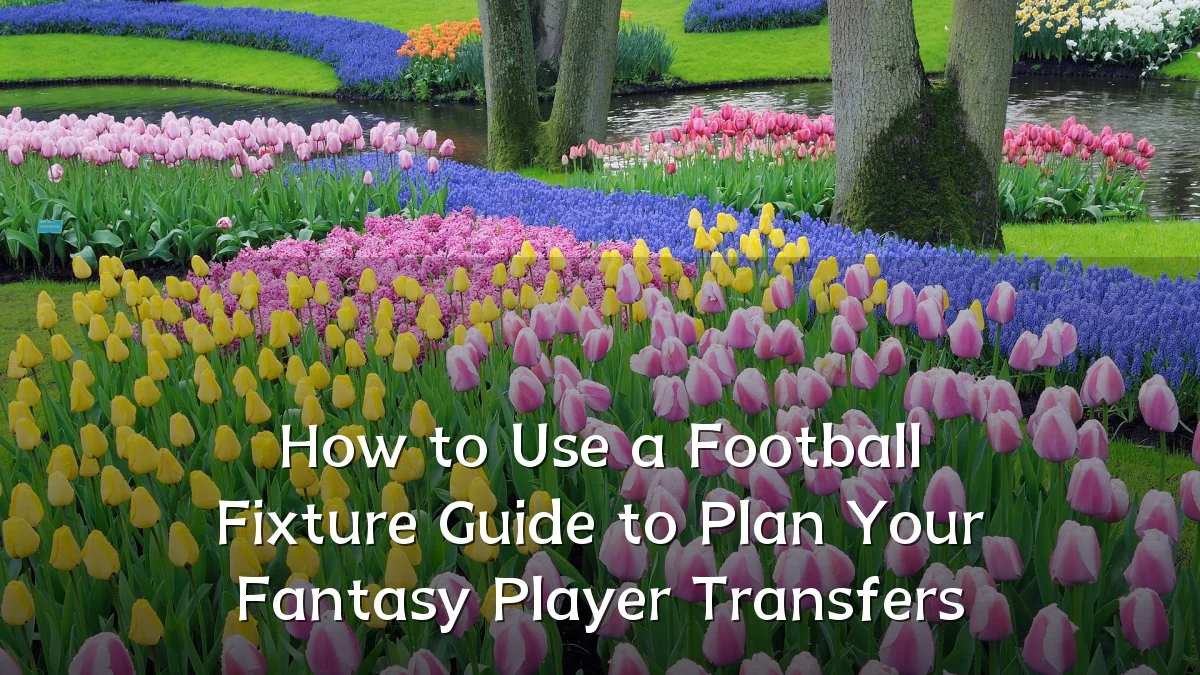 How to Use a Football Fixture Guide to Plan Your Fantasy Player Transfers