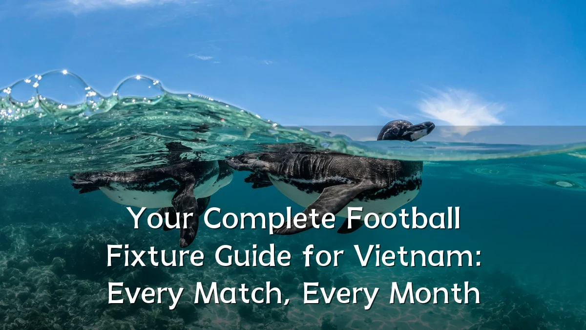 Your Complete Football Fixture Guide for Vietnam: Every Match, Every Month