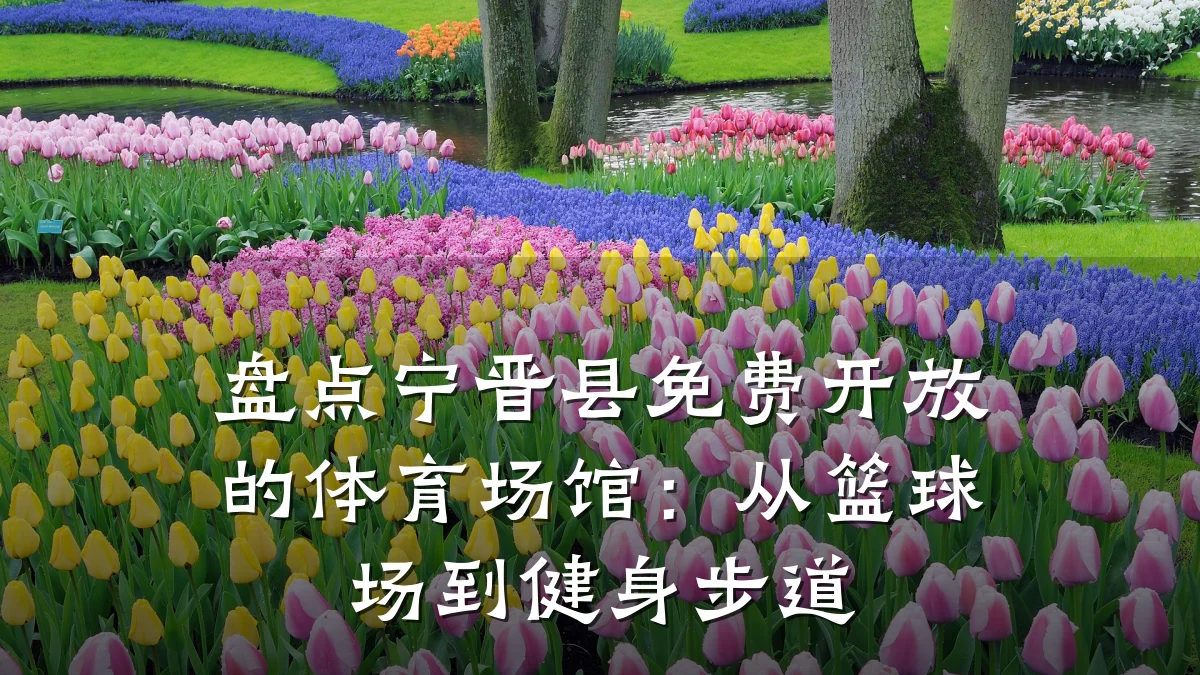 盘点宁晋县免费开放的体育场馆:从篮球场到健身步道